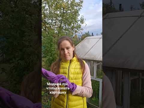А в чем вы копаете картошку? #дурачимся #огородник #картошка карто