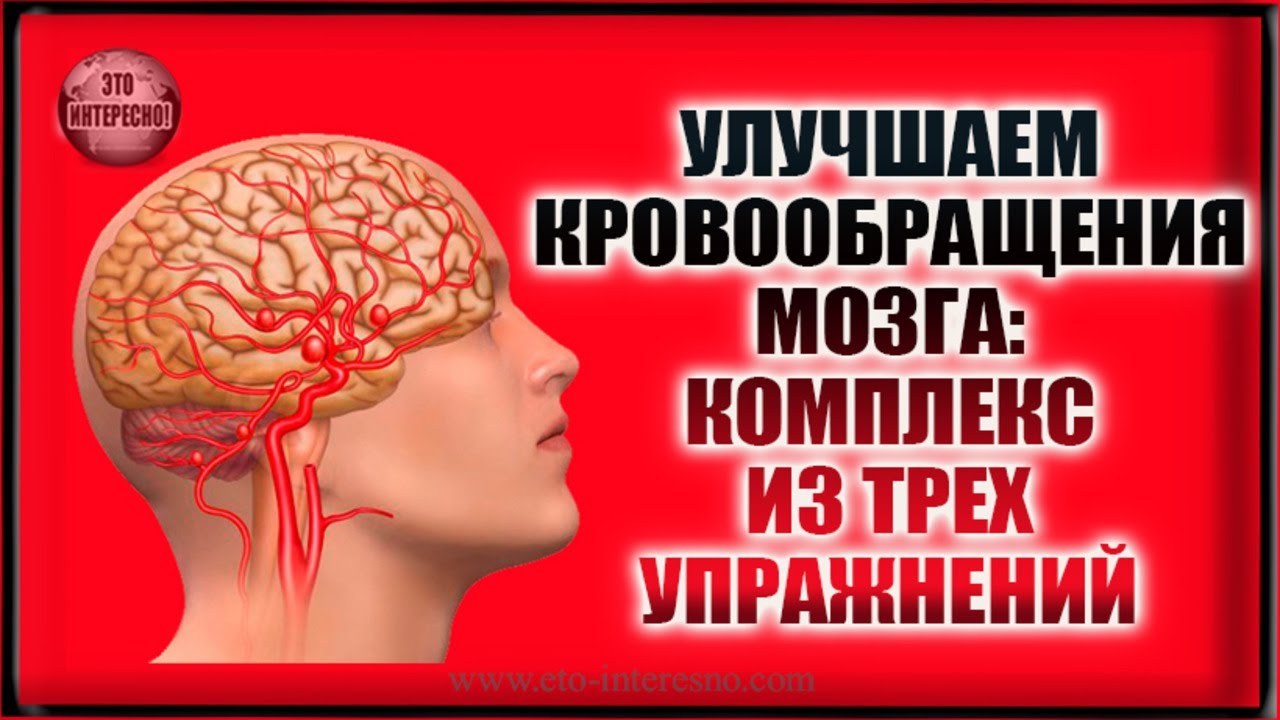 Гимнастику для кровообращения. Упражнения для сосудов головы. Упражнения для сосудов головного мозга. Улучшаем кровообращение мозга. Гимнастика для улучшения кровоснабжения мозга.