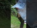 Master Fire Starting in 60 Seconds: Bushcraft Basics