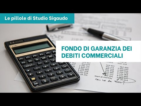 Fondo di Garanzia dei Debiti Commerciali