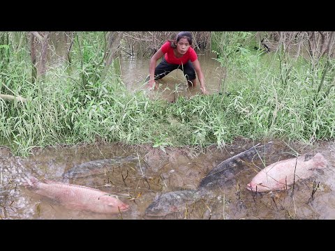 Video: How To Cook Fish Soup In Nature