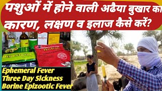 Ephemeral Fever(Three Day Fever) पशुओं में होने वाली अडया बुखार(डेंगू बुखार)का कारण, लक्षण व इलाज ?