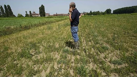 Водный кризис в Европе: серьёзно ли это и что можно сделать?