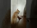 단비 할배 많이 기다렸제 ㅋ