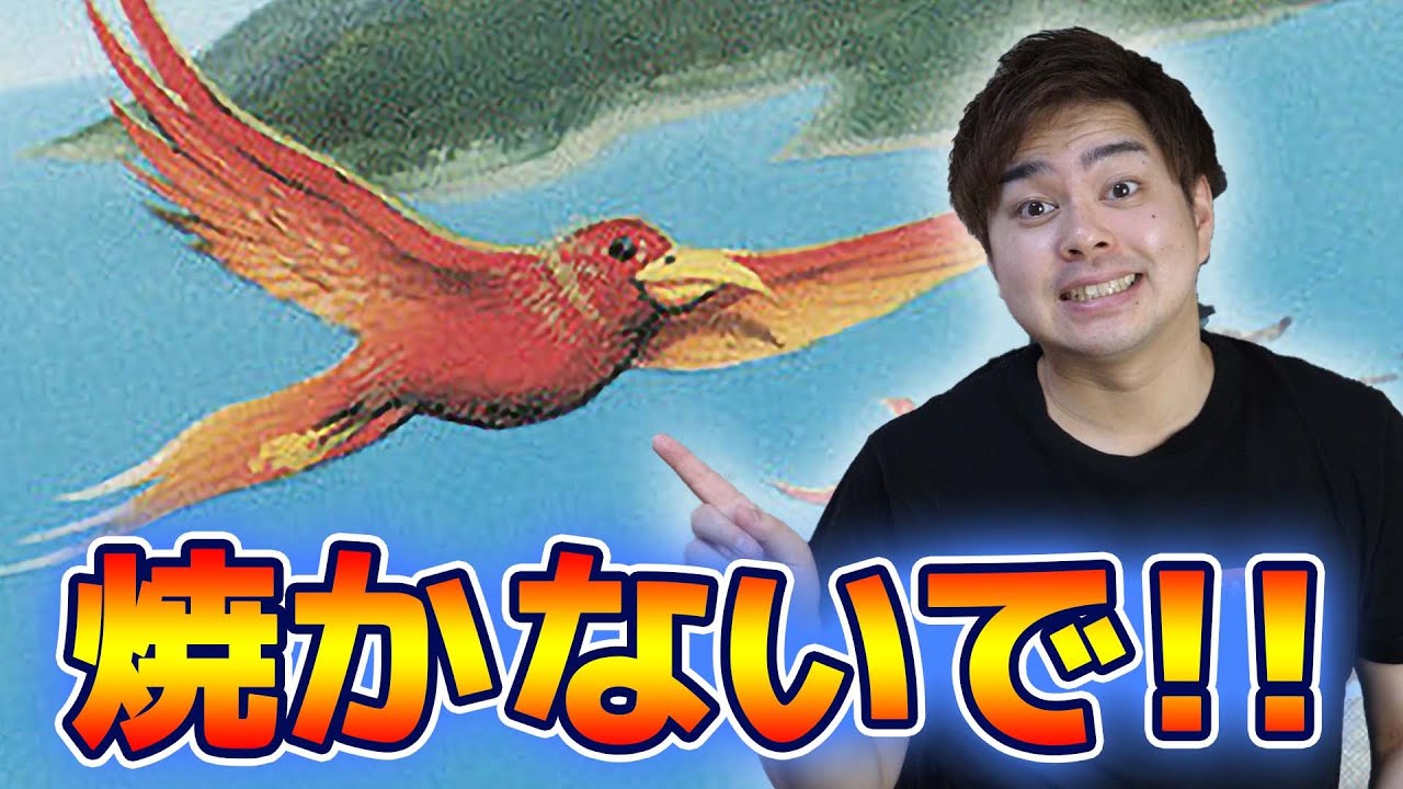 MTG 極楽鳥　LEB PSA7(NM)/ Birds of Paradise 金枠】《極楽鳥/Birds of Paradise》[WC00] 緑 Nicolas Labarre | 日本