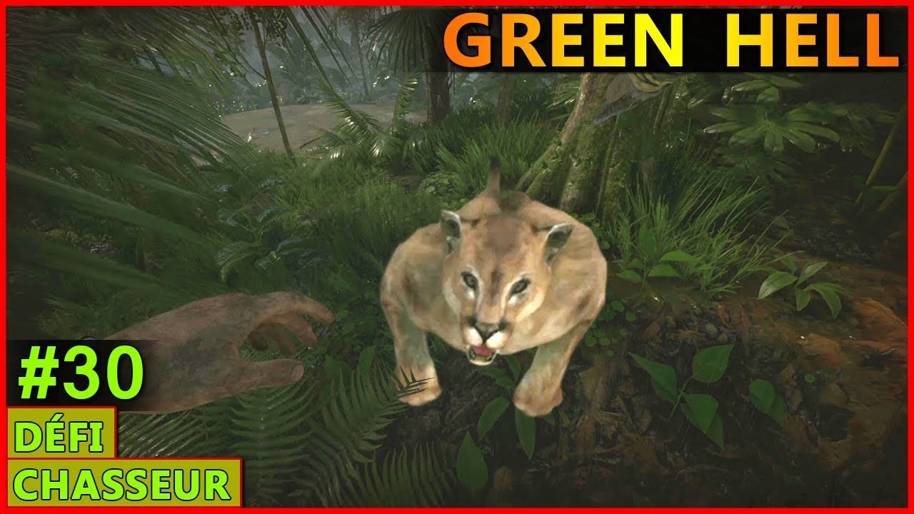 #30. Nouveau Défi: Chasseur ! → Green Hell 0.2.0 (let's play gameplay fr) - YouTube