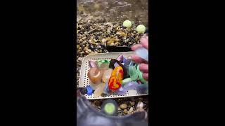 ❤️Live Stream ❤️ 2026-07-28 12:44:34