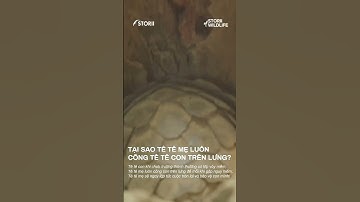 Tại sao tê tê mẹ luôn cõng tê tê con trên lưng? #StoriiOfWildlife #Storii