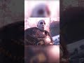 God of War Ragnarok Faye calls Kratos Grumbles! #shorts