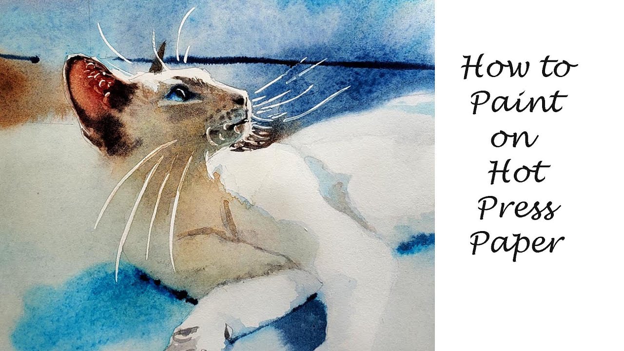 How to Paint on hot press watercolor paper - 4 Beginners - Lilac Point  Siamese Cat Tutorial 