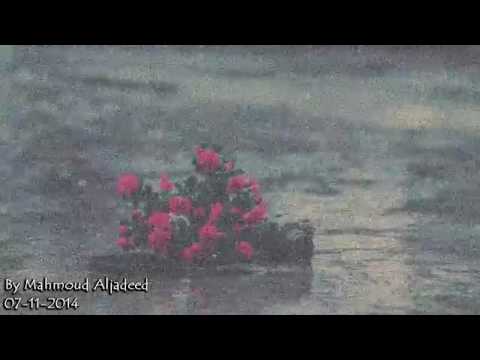 فيروز ياسنيني لي رحتي أرجعيلي