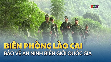 Tổng kết công tác biên phòng năm 2024 | THLC