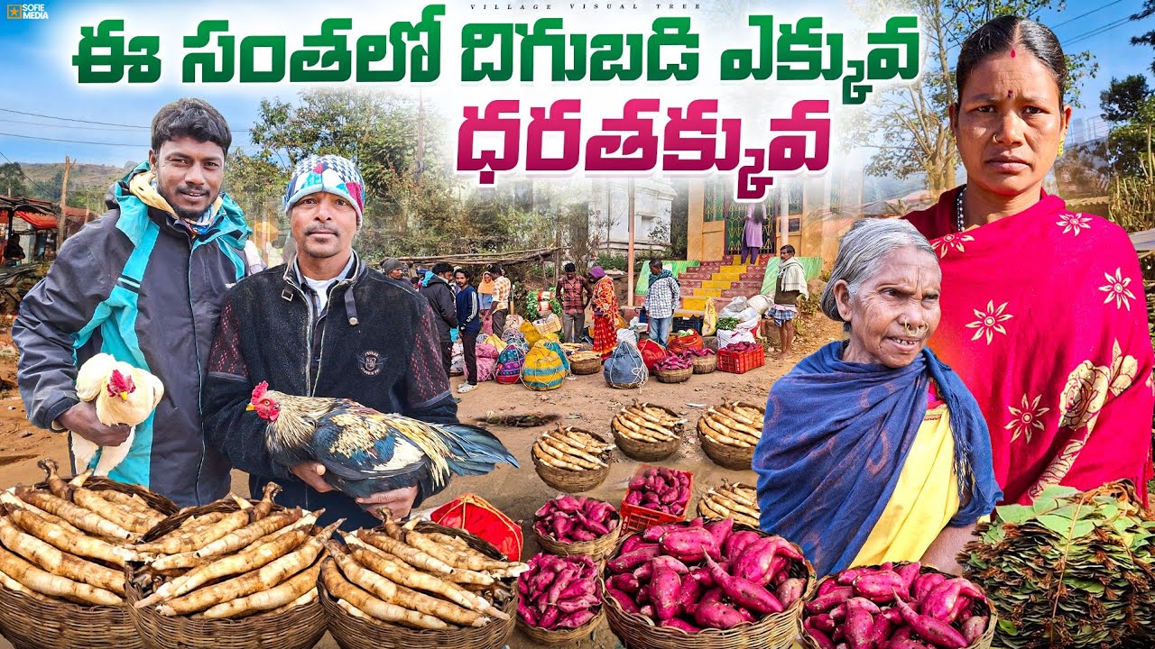 జి మాడుగుల గిరిజన సంత బేరాలు || g madugula tribal market trading || g madugula santha 