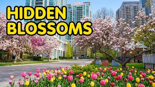 Exploring Spring's Hidden Gems | Flower Walk 🌻