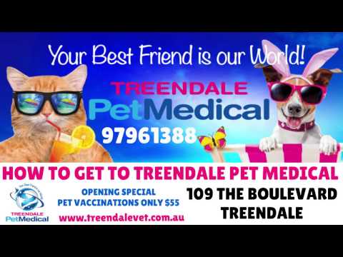 WIE SIE TREENDALE PET MEDICAL + GOOGLE MAP GET