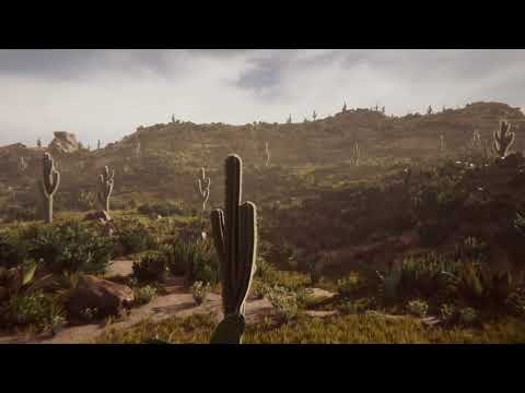 Mexican Desert - Vegetation Studio