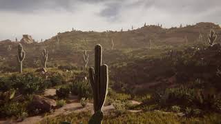 Mexican Desert - Vegetation Studio