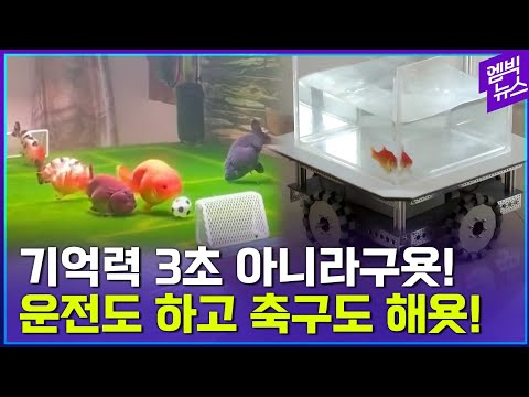 &amp;quot;왜 이리 멍청해..너 금붕어니??&amp;quot; 앞으로 이렇게 말하면 안 되는 이유
