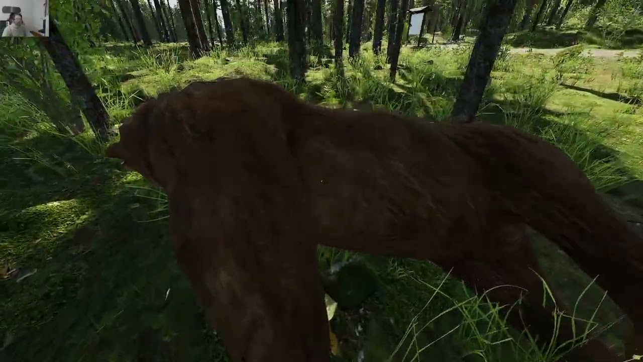 Finnish Cottage Simulator Kostettiin karhulle ja pelastettiin Marjatta K2 J32