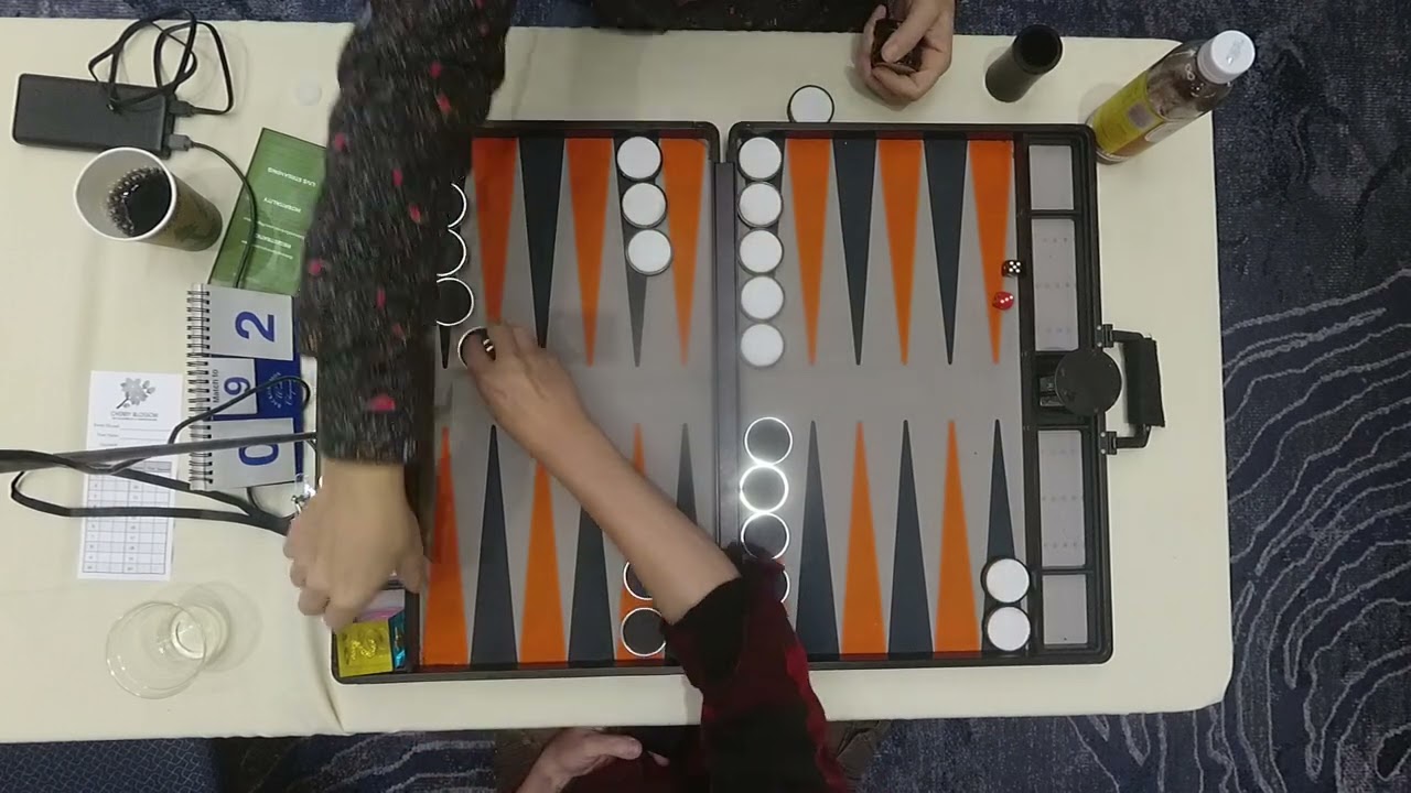 Roberto Litzenberger vs Gary Fries 2024 Cherry Blossom Open Rd2 9pts