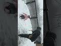 baby in snow 2