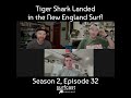 Tiger Shark Landed in the New England Surf!