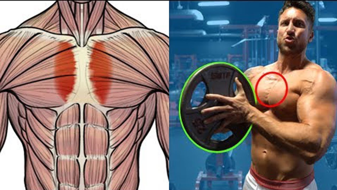 (Chest Inner) أقوى تمارين 7 ابراز خط وسط لصدر لمن يعاني من ضعف فيها