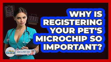 Why Is Registering Your Pet