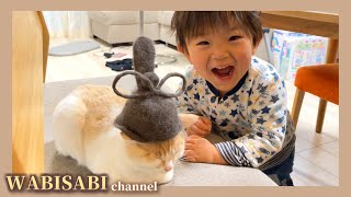 【日常】猫の毛でできた帽子を猫に乗せたい子供 【日常】猫の毛でできた帽子を猫に乗せたい子供