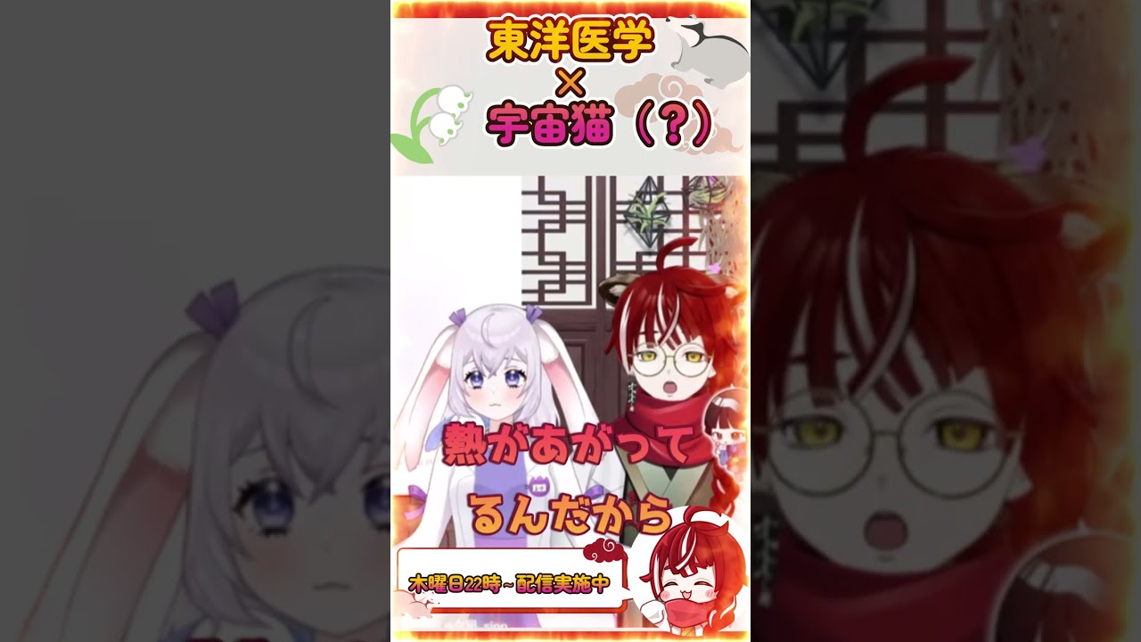 東洋医学と宇宙猫(?) #shorts #切り抜き
