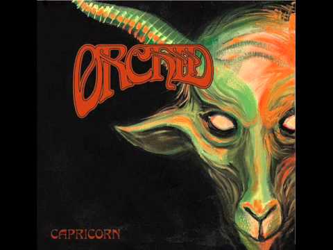 Orchid - Capricorn - (Official)