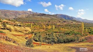 Xelil Bakozi Pawizok1