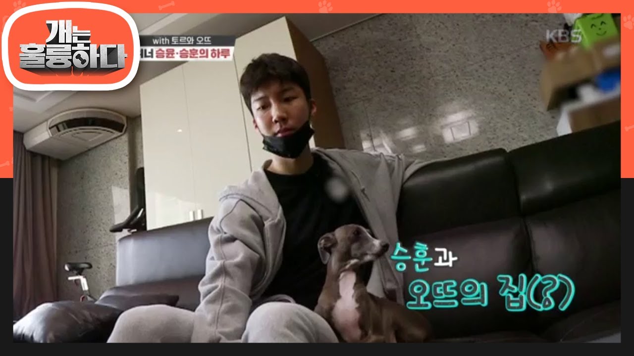With 토르와 오뜨, 위너 승윤, 승훈의 하루 [개는 훌륭하다/Dogs Are Incredible] 20200427