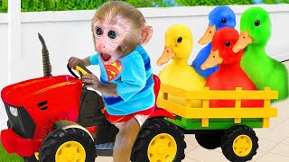 Monyet Bon Bon Imut menjadi kakak yang baik merawat para bebek dan membuat es krim pelangi