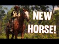 First horse  rdr2 realistic roleplay the rift