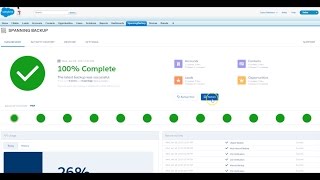 Spanning Backup for Salesforce: Data Disaster Recovery
