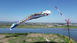 ジャンボこいのぼり遊泳｜第15回 加須市民平和祭 - YouTube