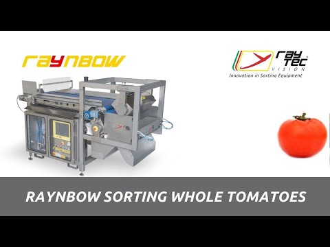 Raynbow sorting machine for whole tomatoes | RAYTEC VISION SpA