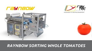 Raynbow sorting machine for whole tomatoes | RAYTEC VISION SpA