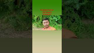 pradeep Kumar Sultanganj bhagalpur