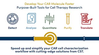 Characterize your CAR Engineered Cells Faster and Easier