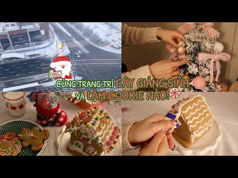 ☃️TUYẾT RƠI RỒI, CÙNG TRANG TRÍ CÂY GIÁNG <strong>SINH</strong> VÀ LÀM COOKIE NÀO!!🎄🍪