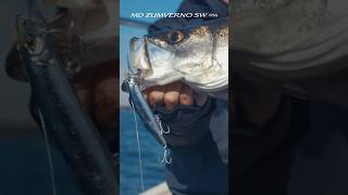 【MDザンバーノSW 95S】SW仕様の小粒なぶっ飛びジャークベイト