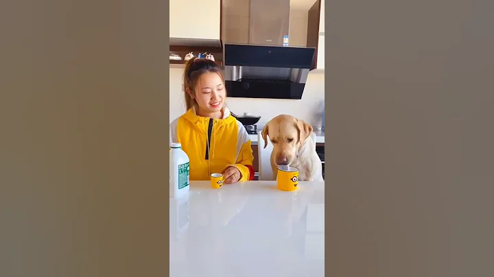 Watch the video about Baby Animals 1 Minutes of Funny Cats and Dogs Videos 2021 Perros y Gatos Recopilación # 10