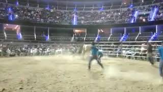 Campeon del Torneo Nacional de Toros en el Acropolis de Puebla 2018 Rancho de Oaxaca