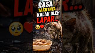 RASA TAKUTNYA KALAH OLEH LAPAR... 😭❤️