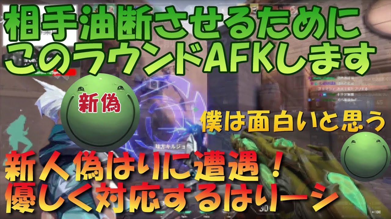 【VALORANT】新人偽はりに優しく対応する はりーシ【切り抜き】#はりーし #valorant #トロール #はりーシ #アイアン