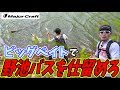 【バス釣り】抜打！#5 ビッグベイトで野池バスを釣れ！ベンケイ68BBで実釣