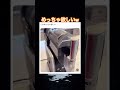 家でコーラフロート作れるの良すぎw #shorts#tiktok#Twitter#おもしろ#お笑い#おすすめ#アイス #便利グッズ #面白い#おもしろ動画#爆笑#バズれ