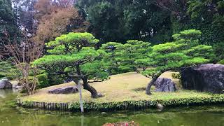 Ohori Park ~ The Japanese Garden